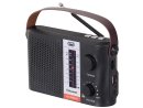 Trevi Solar Radio 1200mAh AM/FM/SW Band Micro-USB Bluetooth